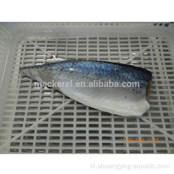 Kedatangan baru Frozen Fish Mackerel Fillets for Wholesale